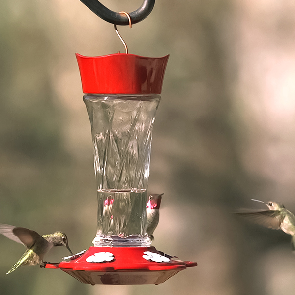 Twist Hummingbird Feeder