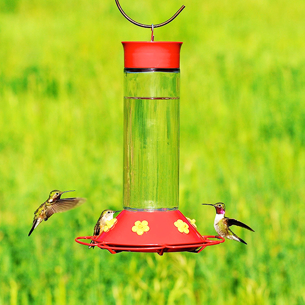 30oz Glass Hummingbird Feeder