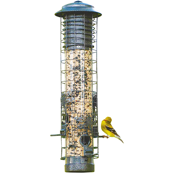 The Dragonfly Squirrel Proof Seed Feeder