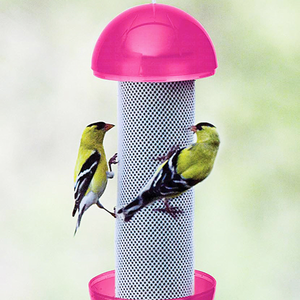 Let's Have-A-Ball Finch Feeder