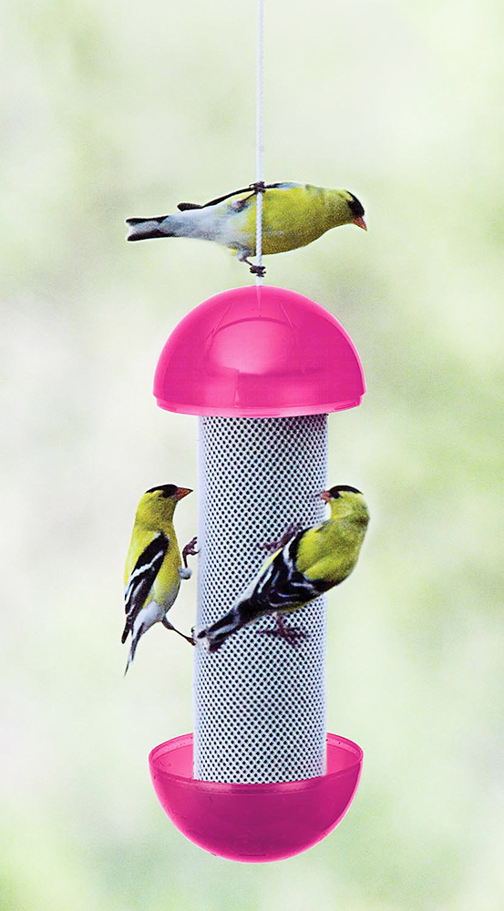 Let's Have-A-Ball Finch Feeder