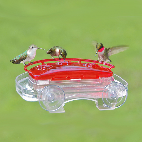 Jewel Box Hummingbird Feeder