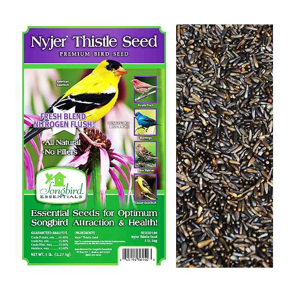 Nyjer Thistle Seed