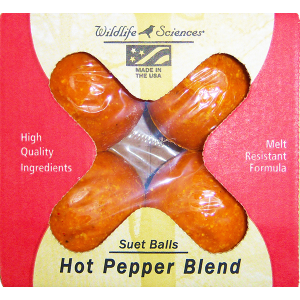 Hot Pepper Suet Balls 4 pack 