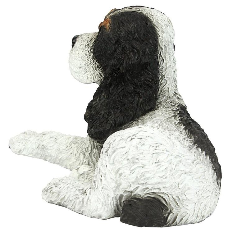 Black & White Cocker Spaniel Puppy