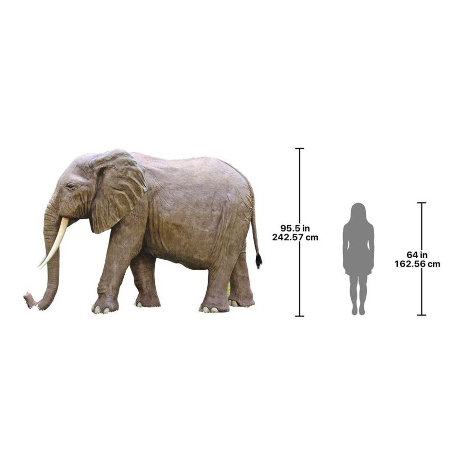 The Enormous African Elephant