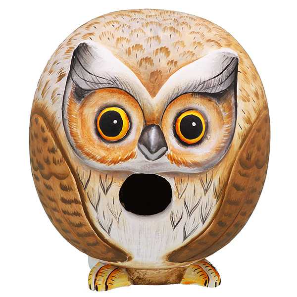 Wise Owl Birdhouse