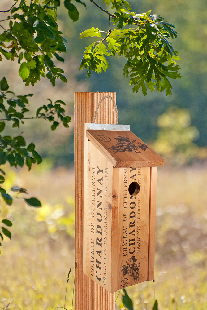 Novelty Wine Crate Bird House