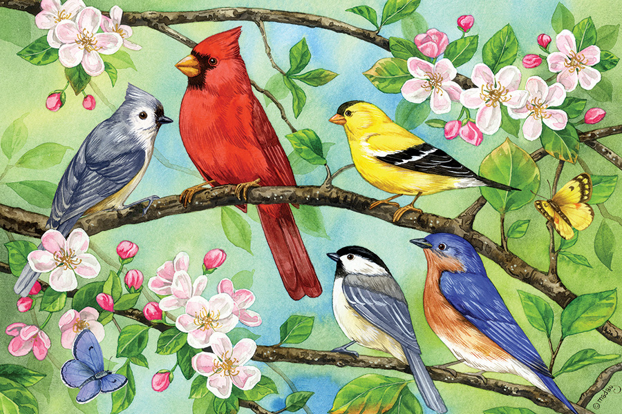 Blooms & Birds 350pc Family Puzzle