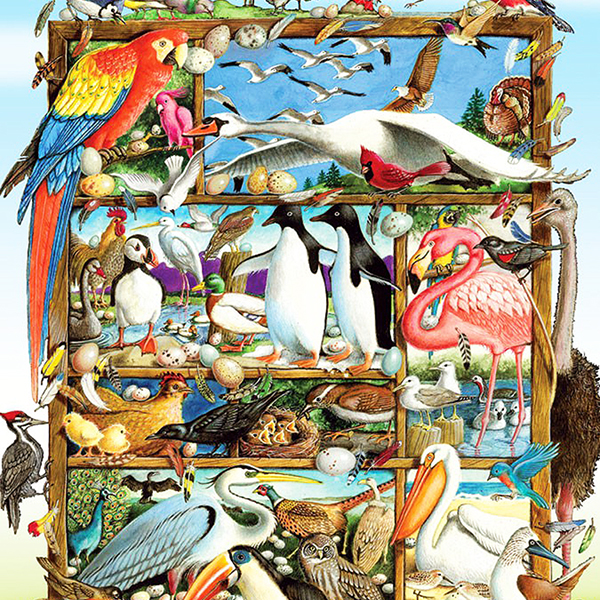 Birds of the World 300 piece Puzzle