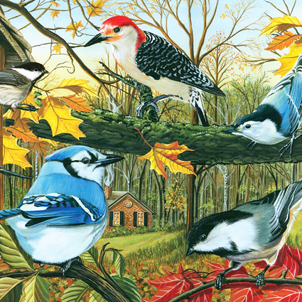 The Backyard Feeders 1000 PC Puzzle