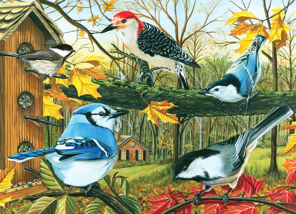 The Backyard Feeders 1000 PC Puzzle
