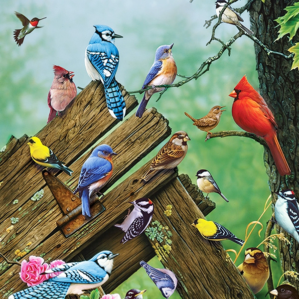 The Birds of the Forest 1000 PC Puzzle