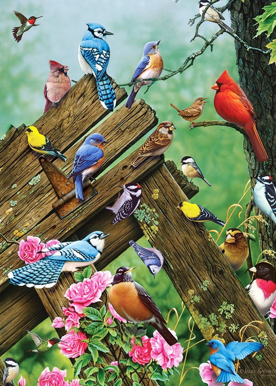 The Birds of the Forest 1000 PC Puzzle